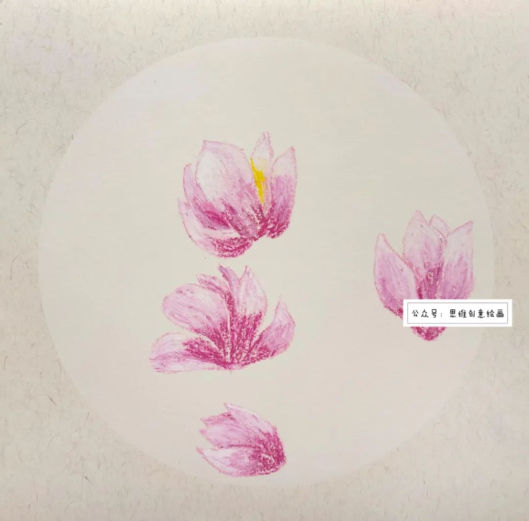 玉兰花水彩写生,玉兰写生的经典视频