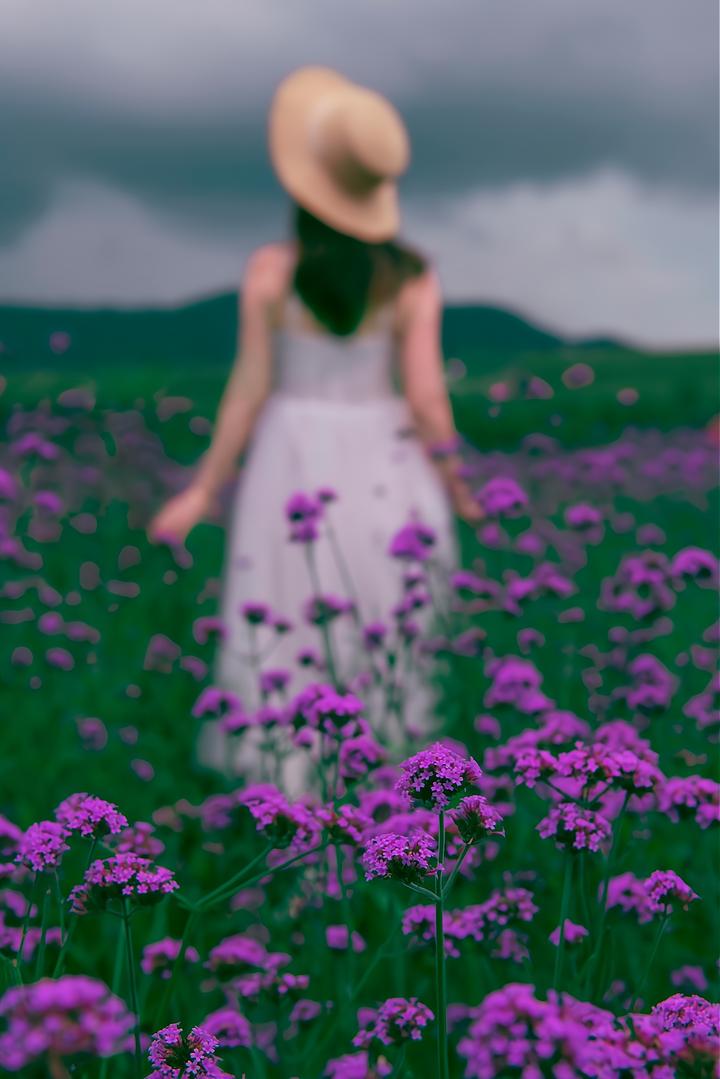 花人像怎么拍好看,拍照怎么拍花好看