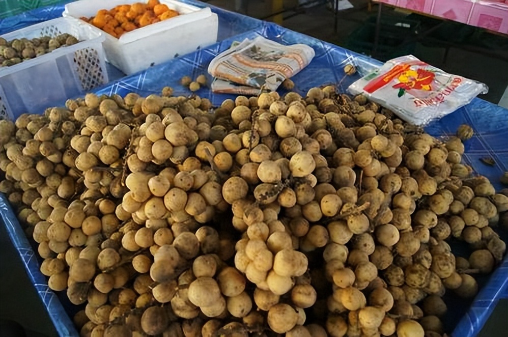 桂圆山竹龙宫果,龙宫果是山竹吗