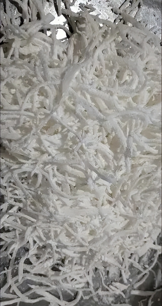 春赏牡丹花,春赏牡丹