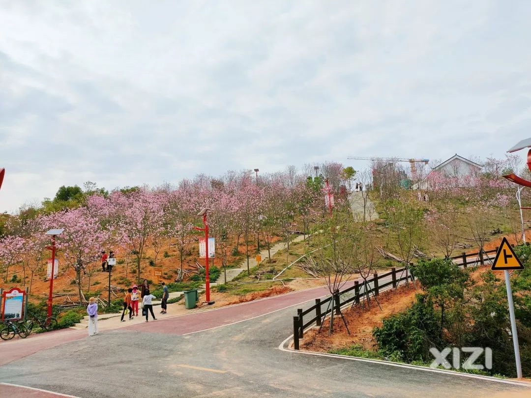 惠州周边踏青好去处推荐来啦,惠州18公里环湖绿道攻略