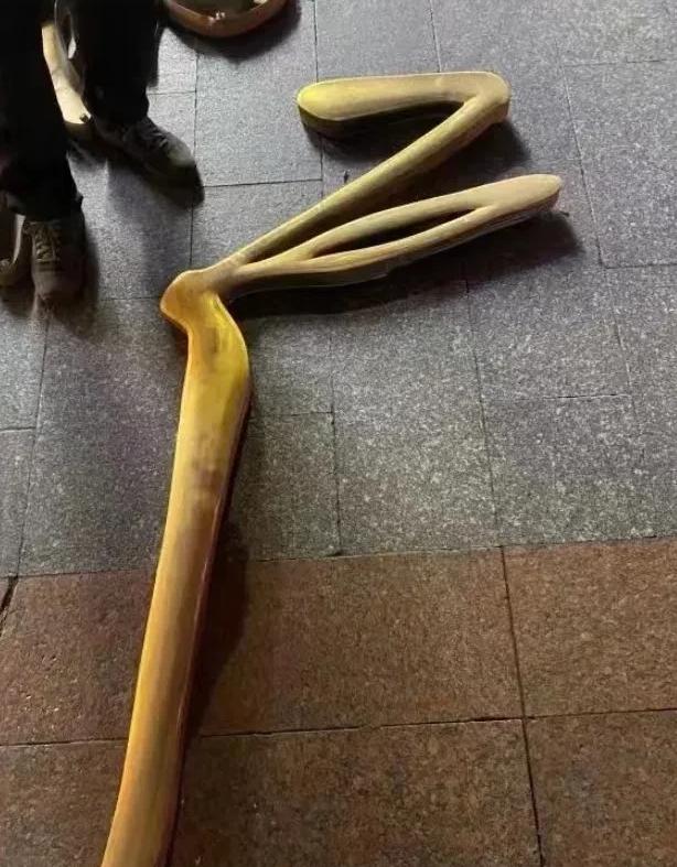 广州荔湾广场八棺之谜,荔湾广场八棺之谜真假