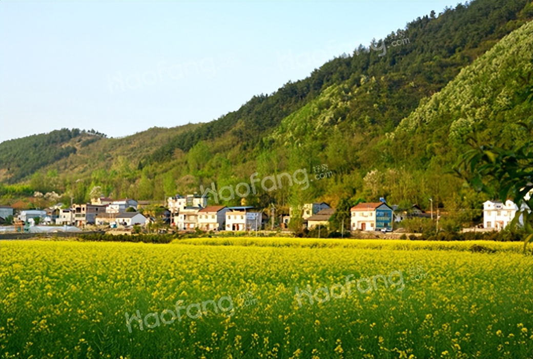 没有房产户口怎么分户,无房无宅基地如何申请分户
