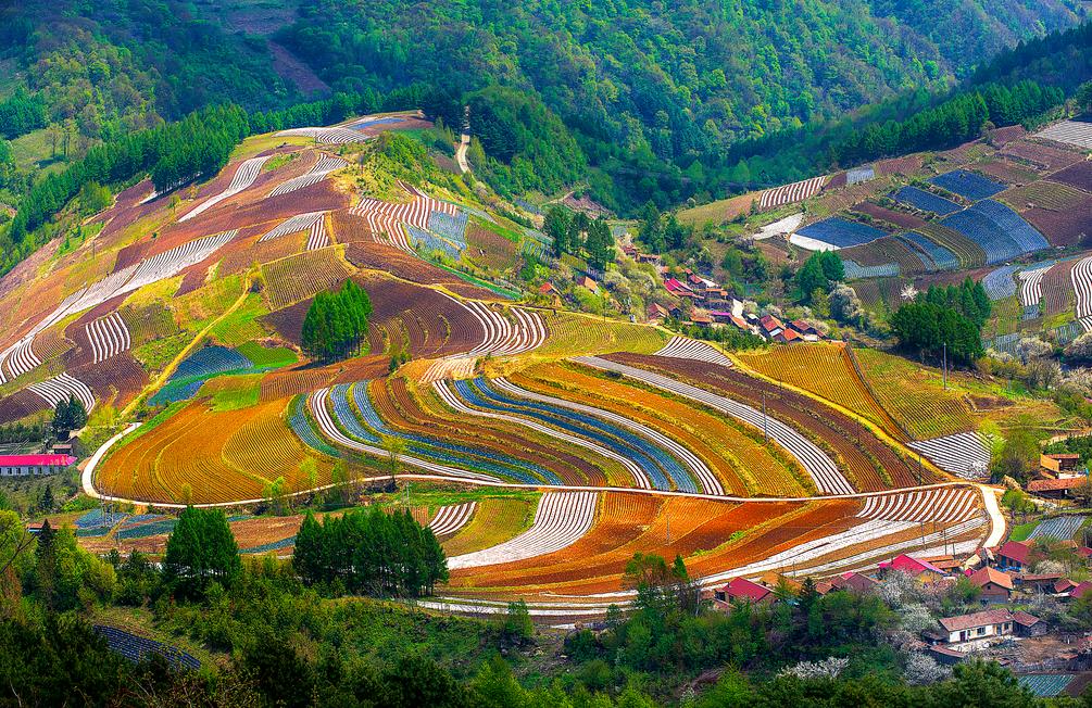 高考之后去吉林省,高考完就去当兵