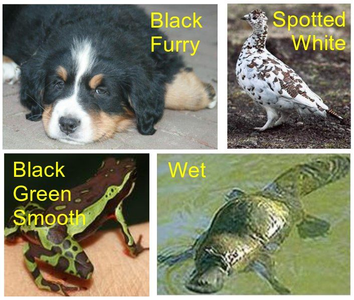 计算机视觉如何改变未来,计算机视觉：算法与应用