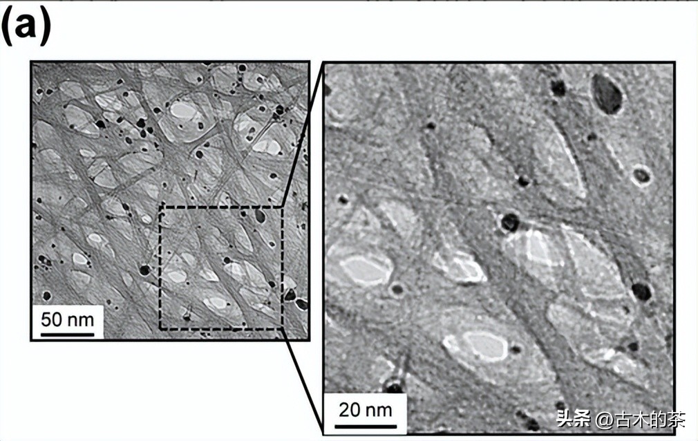 管间连接聚合物结构和形态，对共扼聚合物/碳纳米管的影响