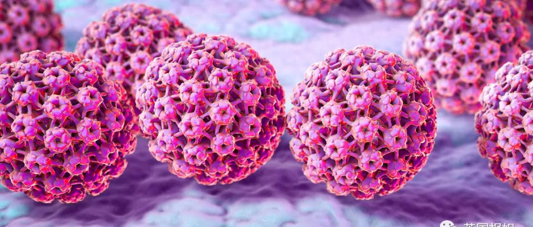 全球最美女人之一去世，仅26岁！曾在中国参加选美比赛，外网悼念