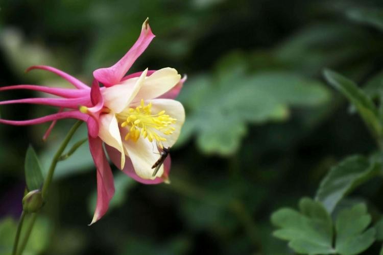 一个女人喜欢你一定要知道这些,想要一个女人持续的喜欢你