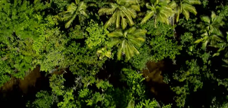 4月1恢复直航，马云刚去过的宝藏免签海岛藏不住了！