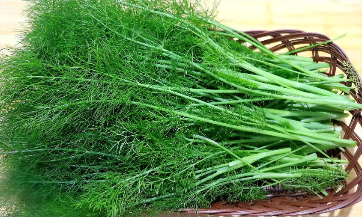 地位“尴尬”的茴香，北方人餐餐吃也不腻，南方却很少人认识它