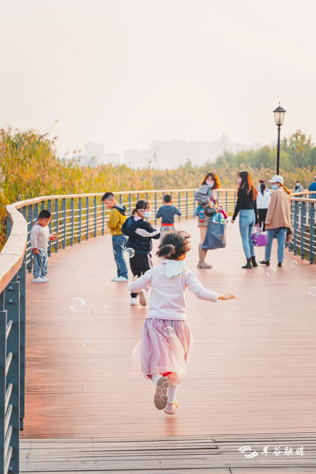 淘金山骑行绿道和东湖骑行绿道,周末绿道骑行一路都是美景