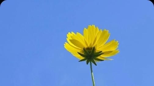 活着不要太当真人生感悟,人活着不要看得太透