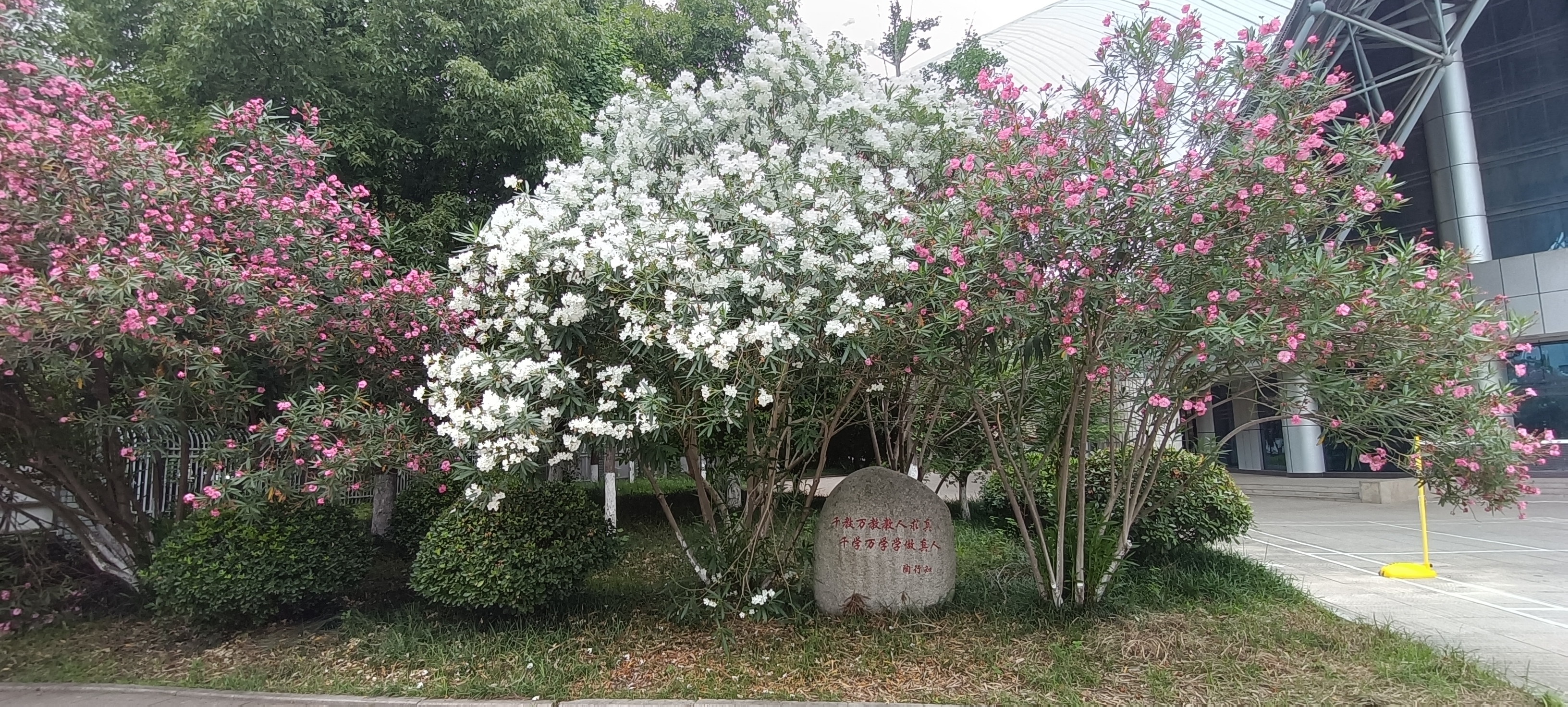 叮咚：高考后的你，规划了什么？（教师篇）