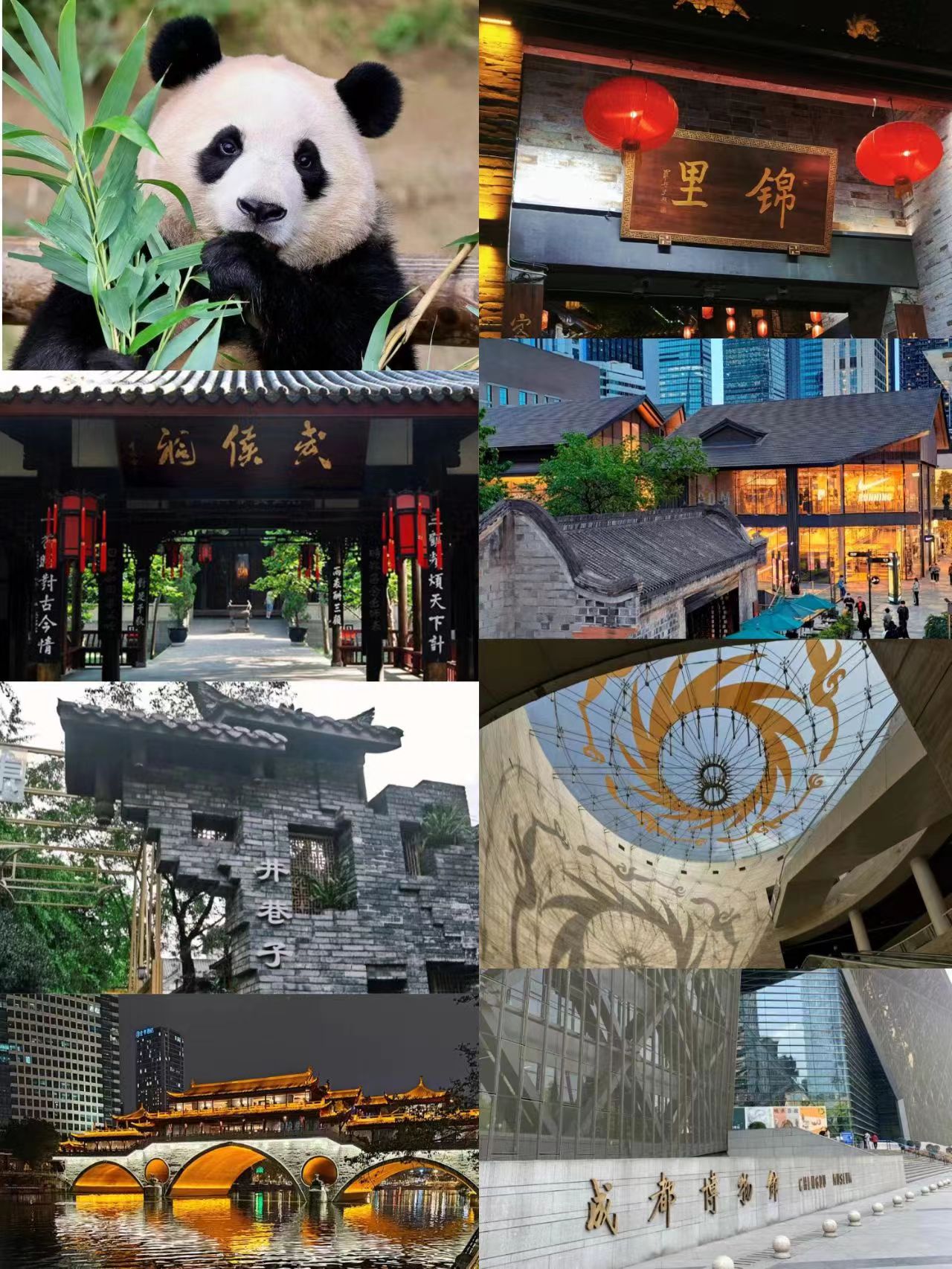 玩转成都市区保姆级攻略,成都过年旅游保姆级攻略