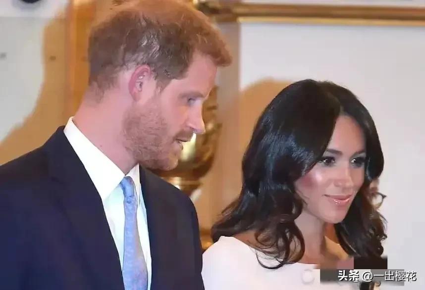 完了，芭比Q了，哈里梅根傻眼