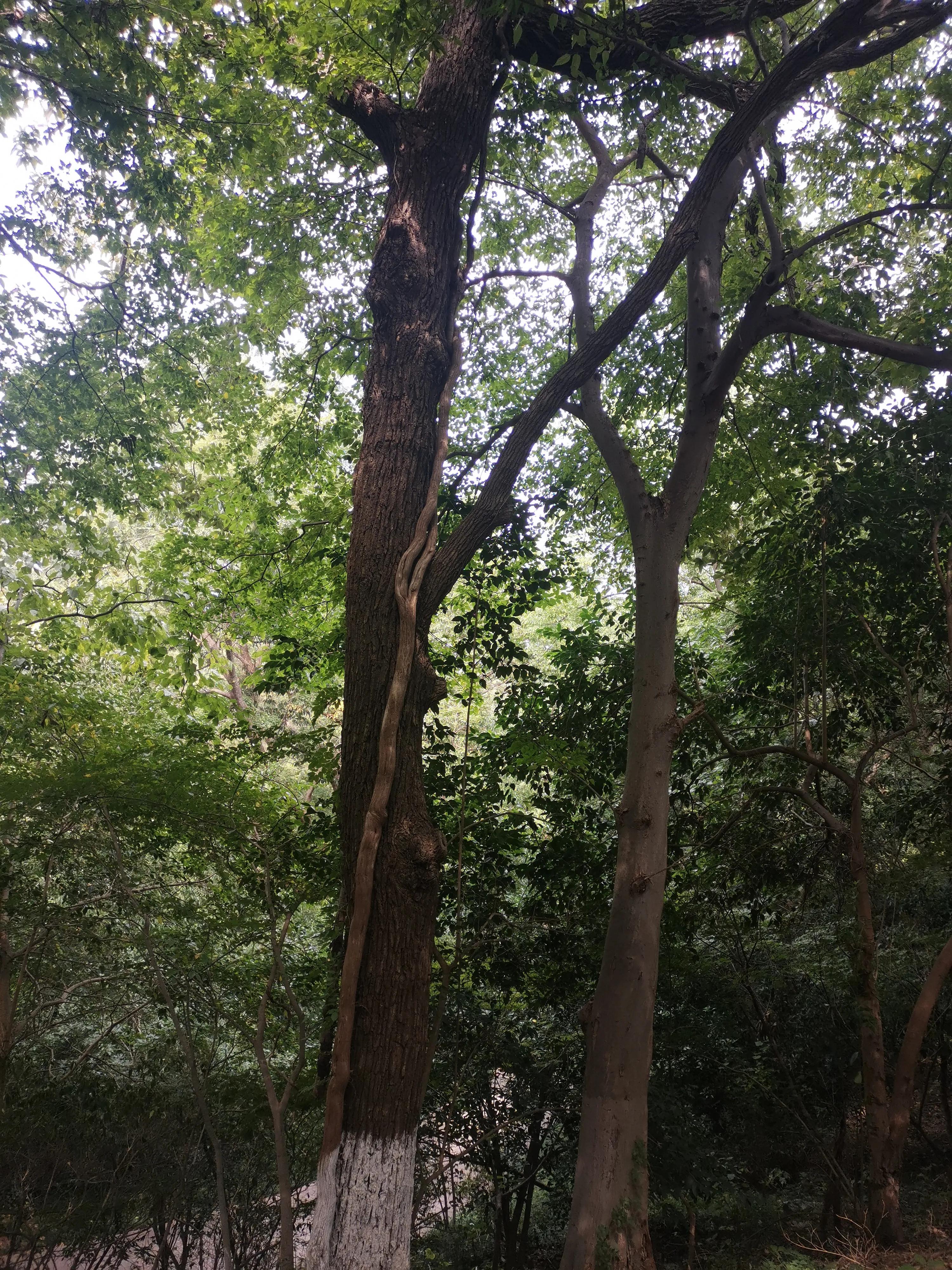 南京出发到镇江一日游跟团多少钱,南京去镇江旅行攻略路线