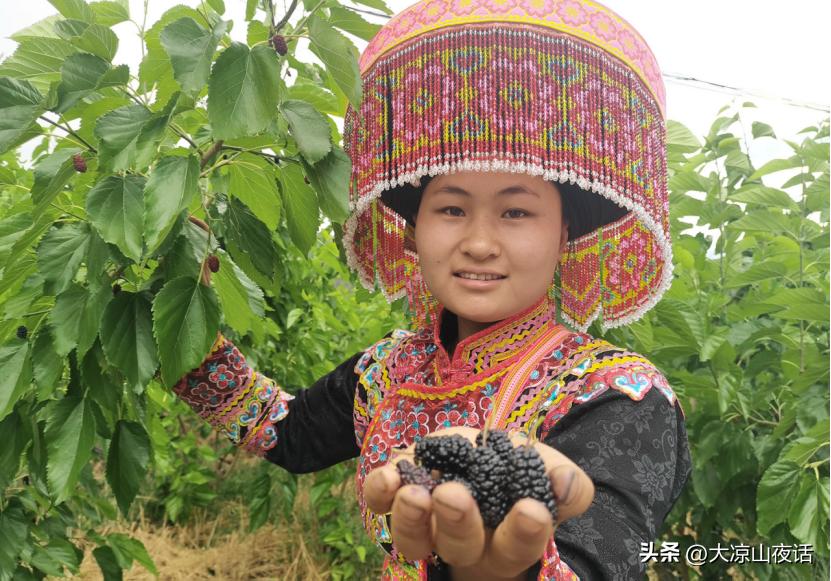 遇见美丽大凉山,遇见美丽大凉山完整
