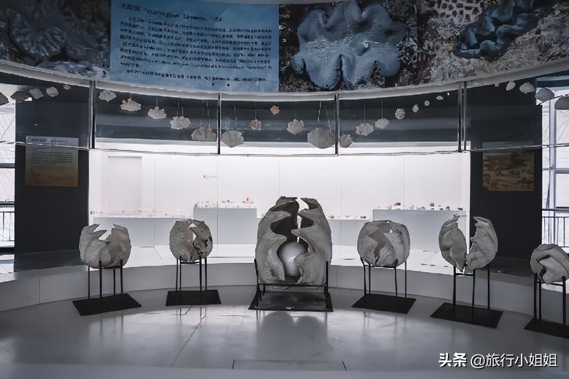 夏日海边浪漫迷人,滨城风光秀丽浪漫气息爆表