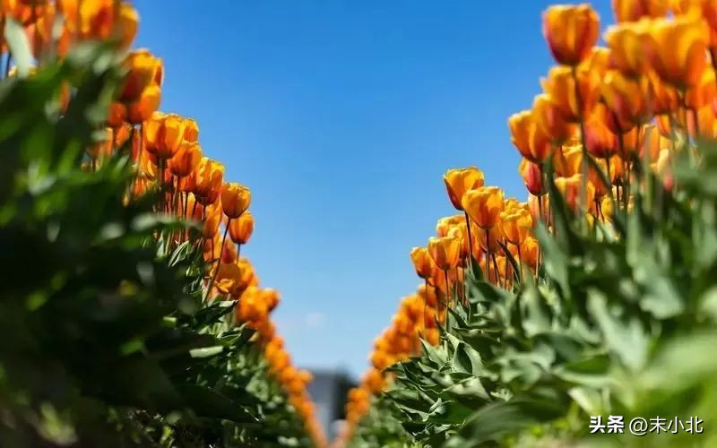 有以下两个特点的男人，不仅不靠谱，也很难给女人幸福