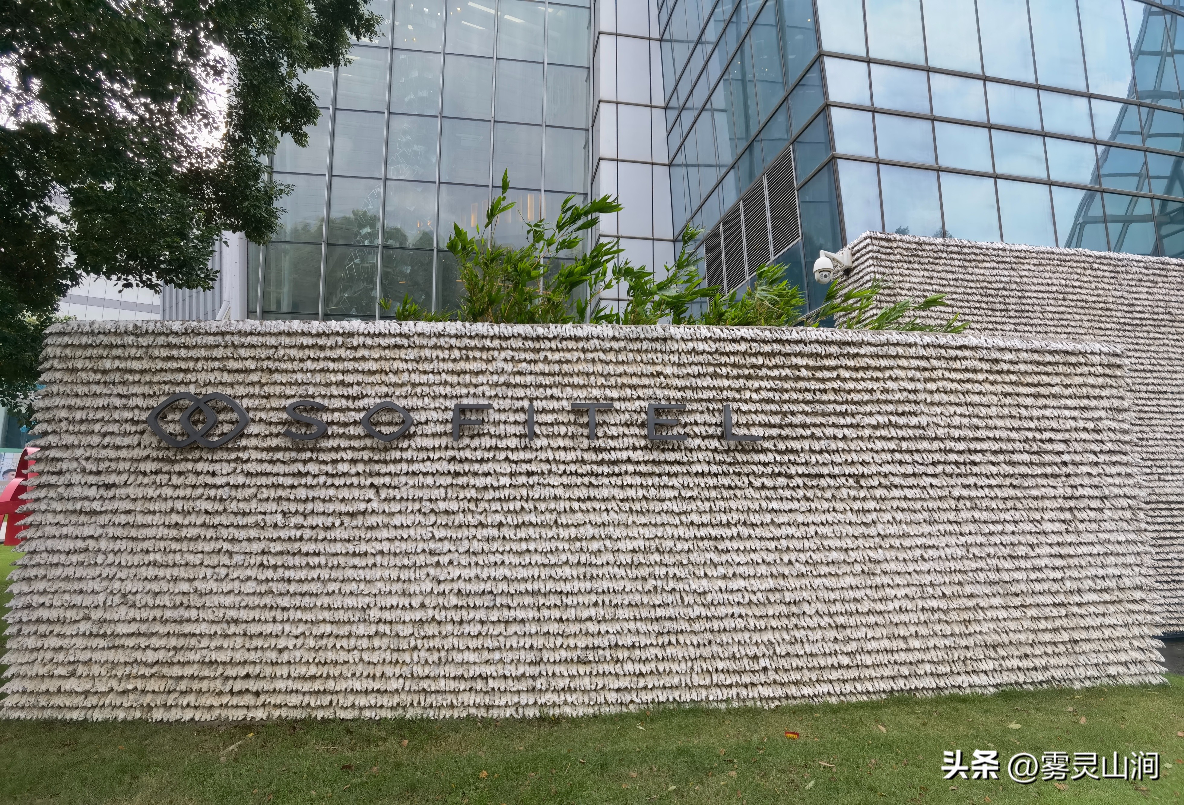 佛山罗浮宫索菲特酒店夜景,佛山罗浮宫索菲特酒店的布局亮点