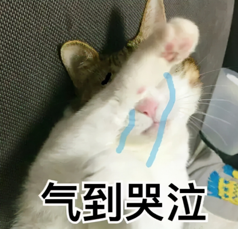 出狱的天才，造神的牛人：从PPT到新车，这场资本棋局，懂了没？