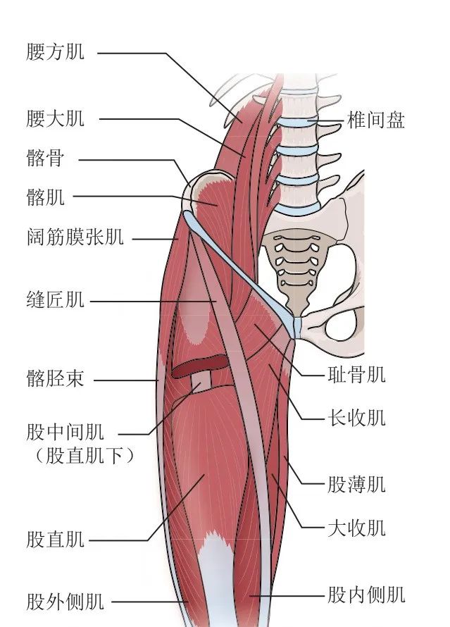 冉冉运动康复到底是什么,冉冉跟腱断裂术后康复