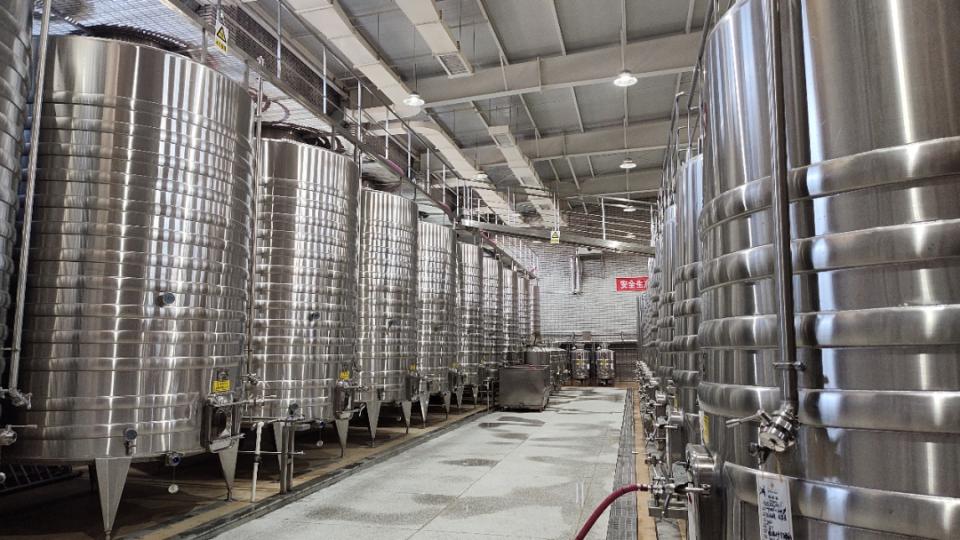 一颗小葡萄创作的原声,一颗葡萄的梦想