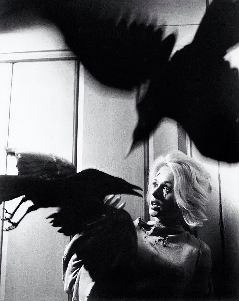 朋友感动故事,朋友真实感人的故事