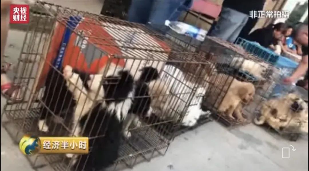 她惨死却热搜下架，你们满意了？