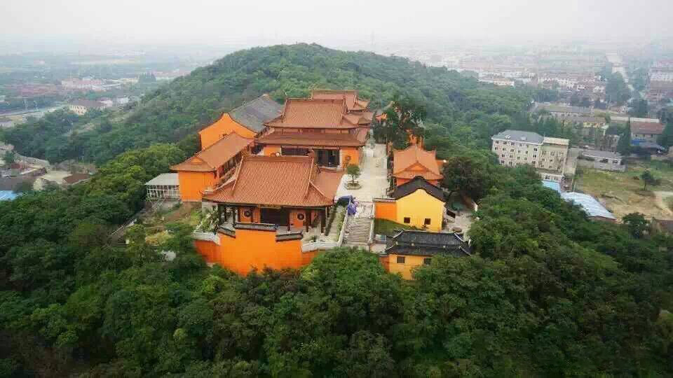 上海最大的国家级森林公园,上海国家森林公园有几个