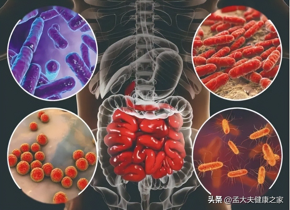 拉肚子是小肠还是大肠的问题,不停拉肚子是甲流吗