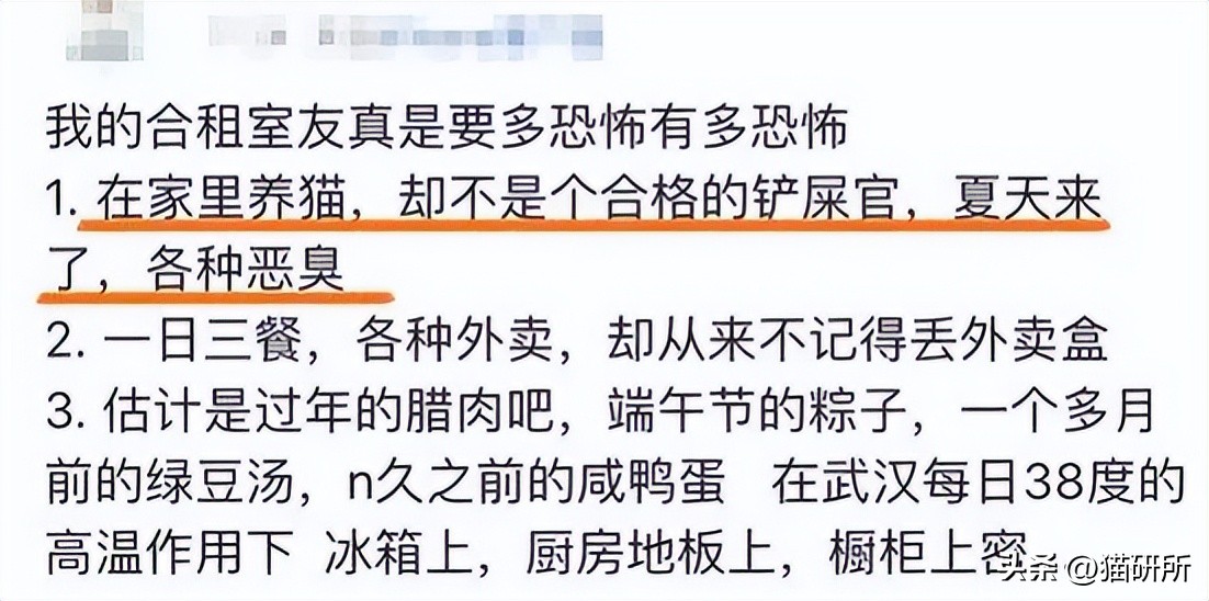 合租室友养猫哪里都是猫毛,合租养猫怎么让猫不吵到别人