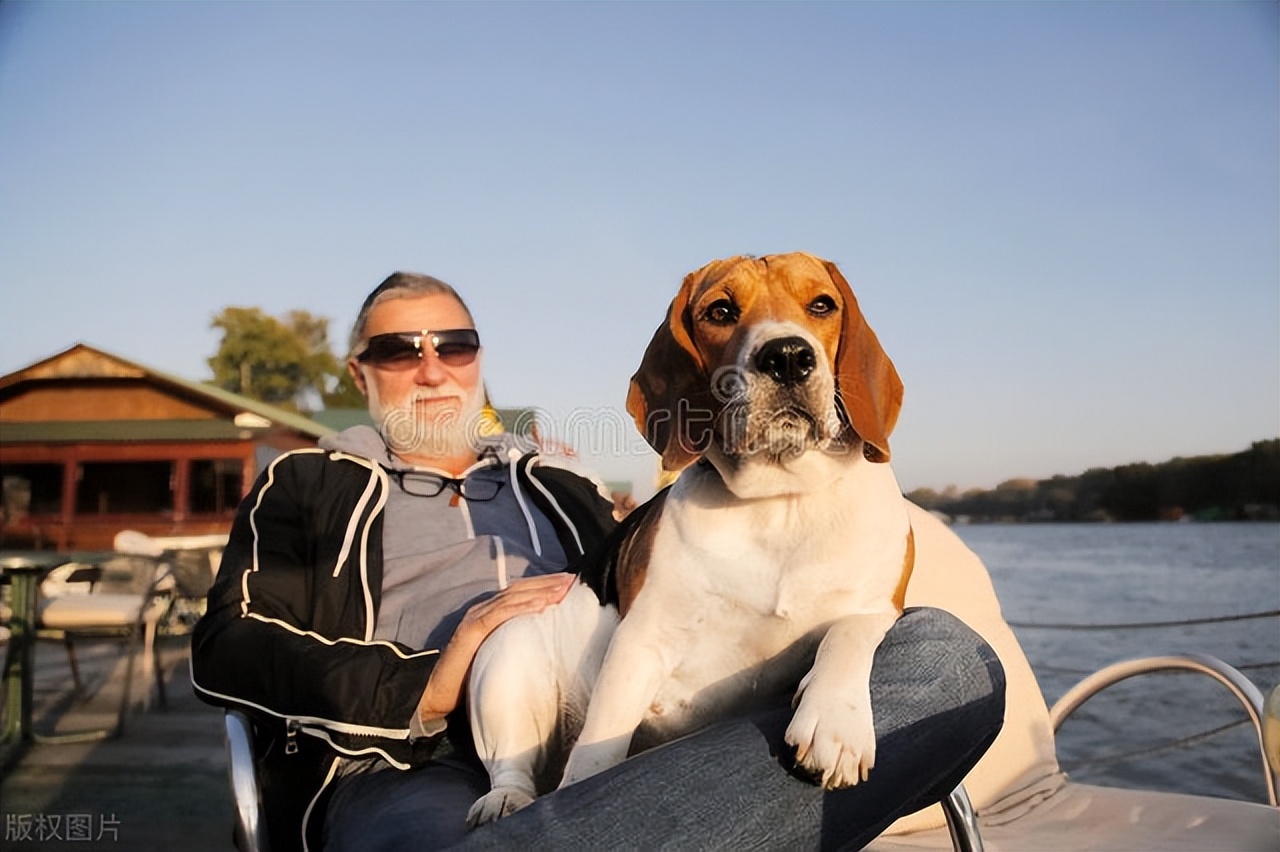 世界上五只最有钱的狗狗，生活奢华无比，享受着最好的待遇