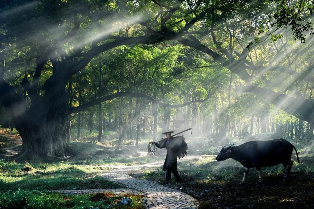 原创不知名作品,不知名诗人传世名句大全及解释