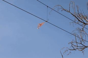 百发百中效果,百发百中狙击手