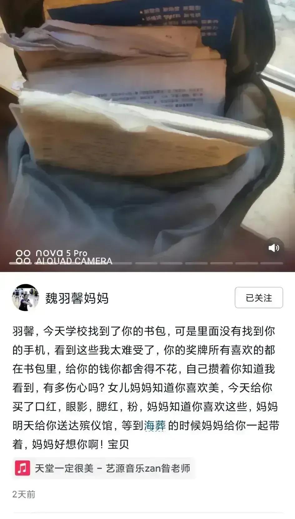 大连棒棰岛海鸥图片,大连棒棰岛有海鸥么