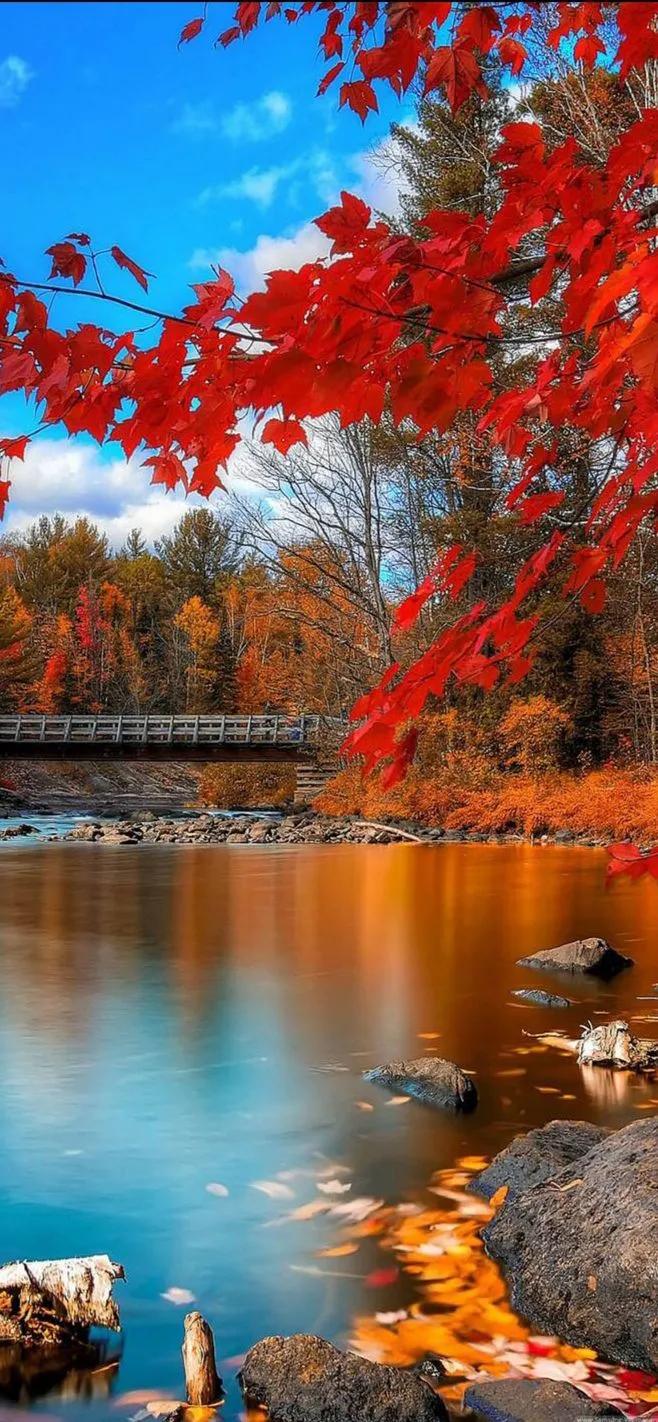心旷神怡风景壁纸,100张绝美自然风景壁纸