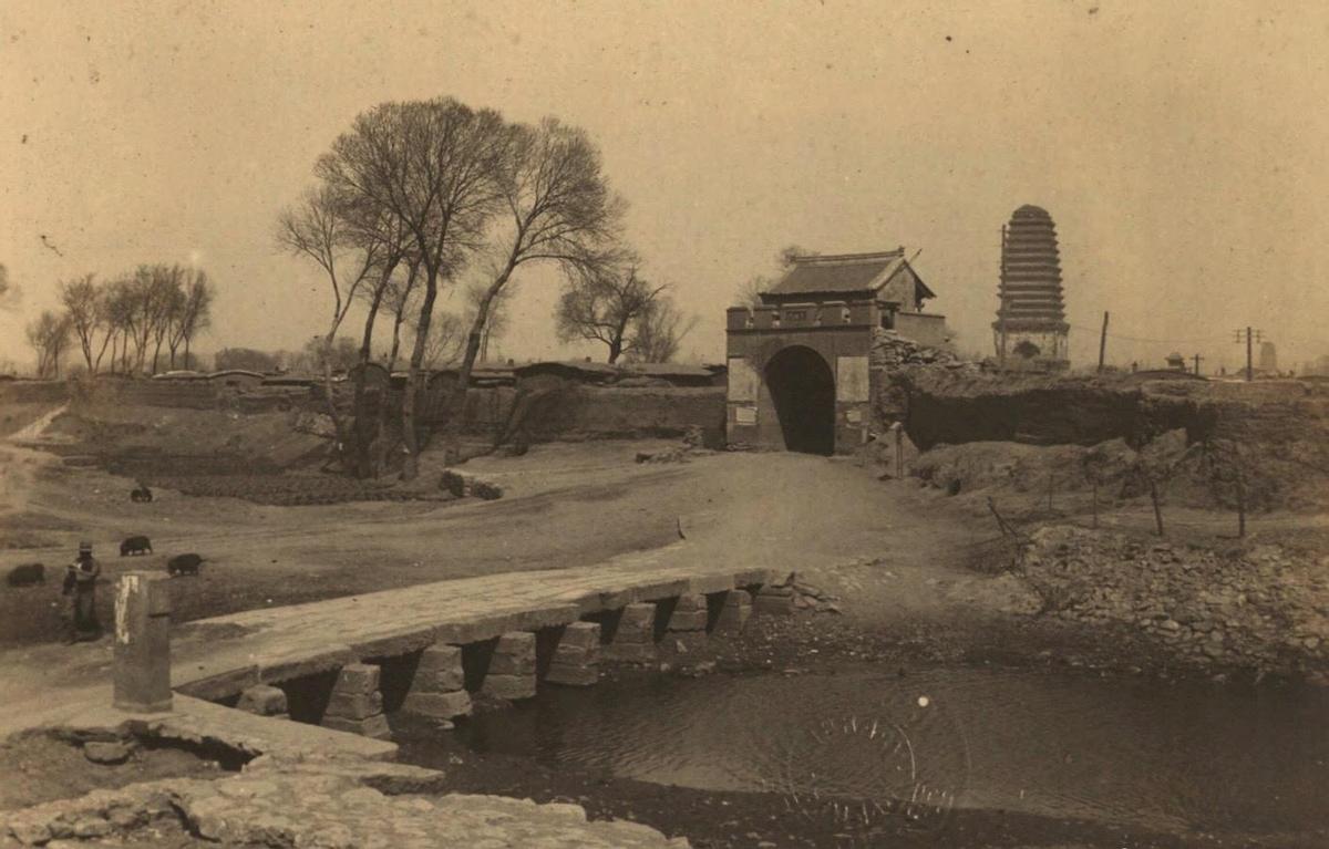 农村搞笑卖猪视频,80年代农民卖猪图片图文