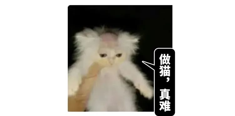 2022年沙雕新闻大盘点：男子发现儿子非亲生！没事，你弟的