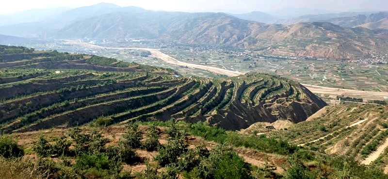 一腔故乡情，敢教荒山换新颜——记武山县优秀返乡创业者安小斐