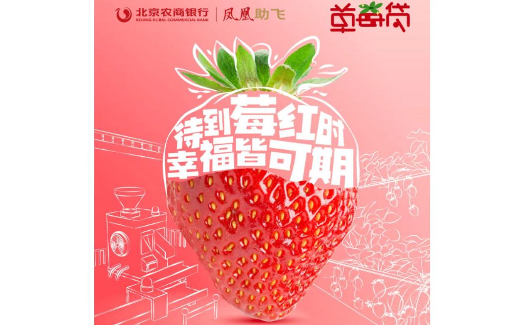 北京农商行推草莓贷、板栗贷,乡村振兴投放*款贷**5500亿
