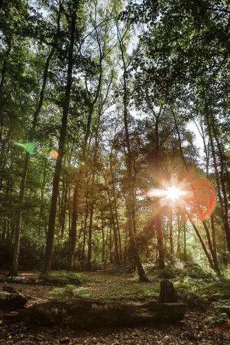 文学角LiteratureCorner（儿童读本）