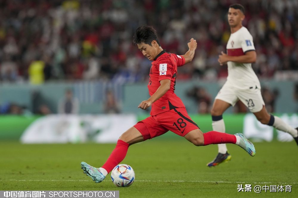 2022卡塔尔世界杯小组赛h组赛况,韩国葡萄牙卡塔尔