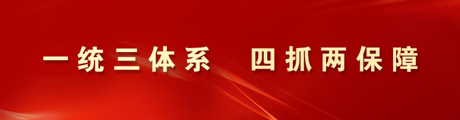 三抓三促推动应急管理工作,三抓三促行动落实情况