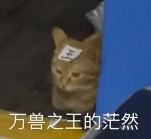 2020年新生宝宝爆款名字公布,广州2021新生儿爆款名字