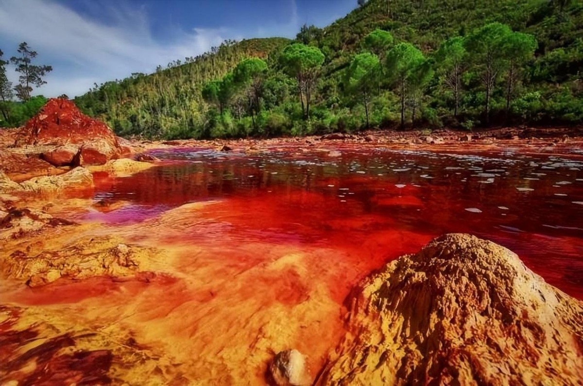 地球上最大的史前蛇,地球最大的水蛇