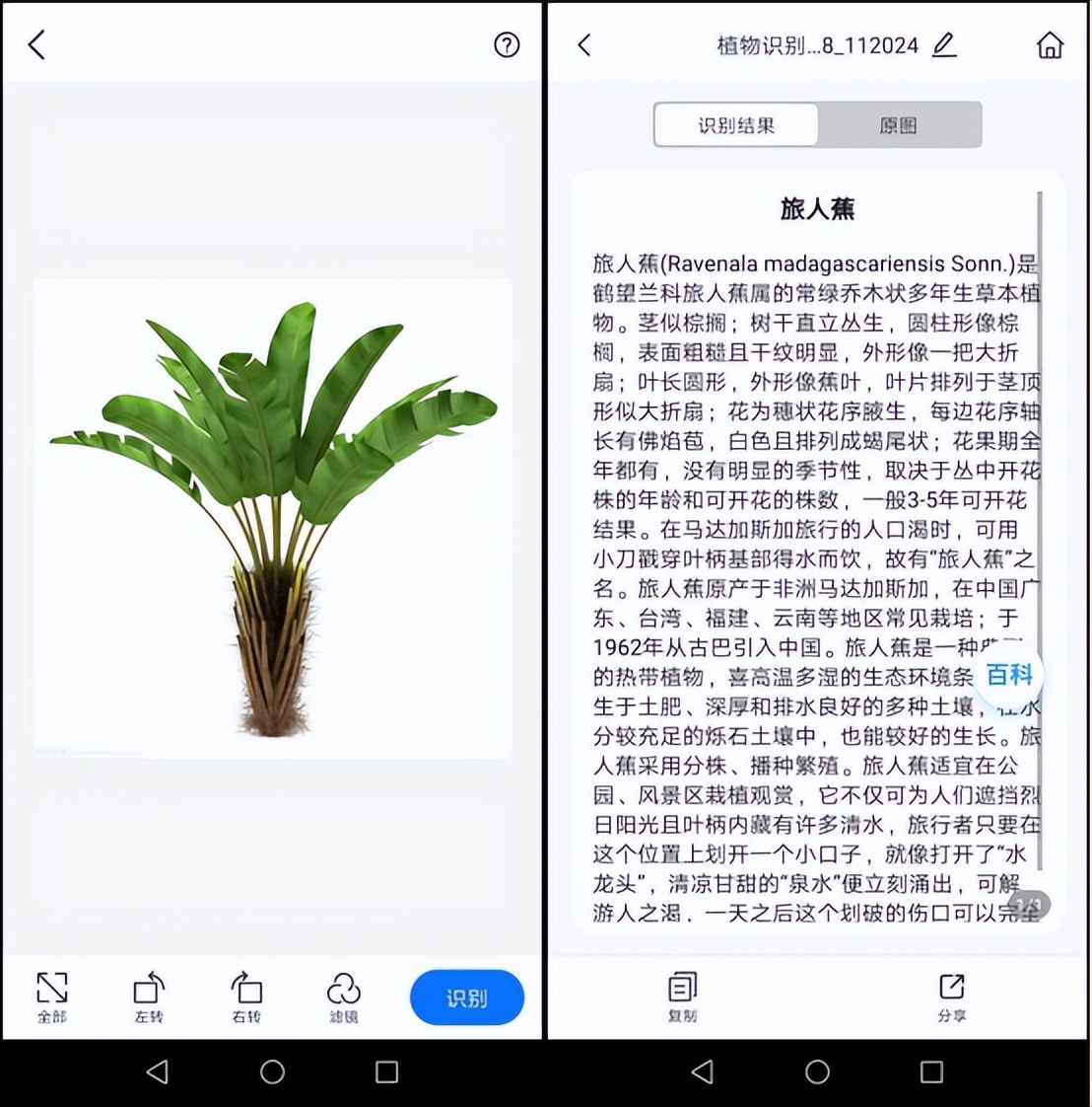 花草识别扫一扫软件下载,扫描识别花草树木app免费