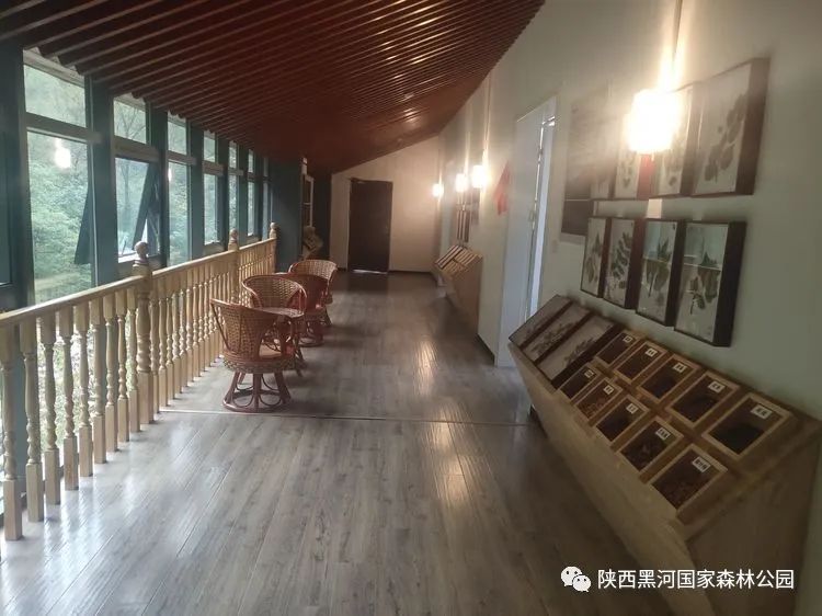 中国旅游日免费黑河景点,中国旅游日黑河森林公园