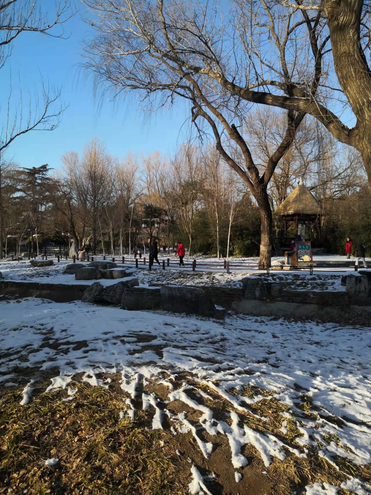 过年了天蓝蓝（诗歌十首）北京张新贵