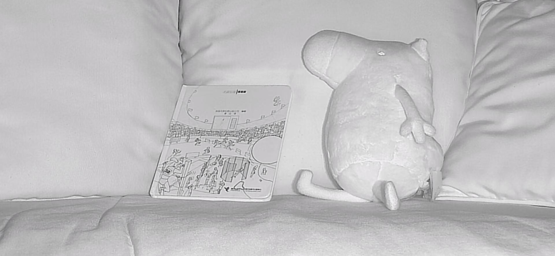 家用摄像头哪款最好用,家用摄像头哪款最实用